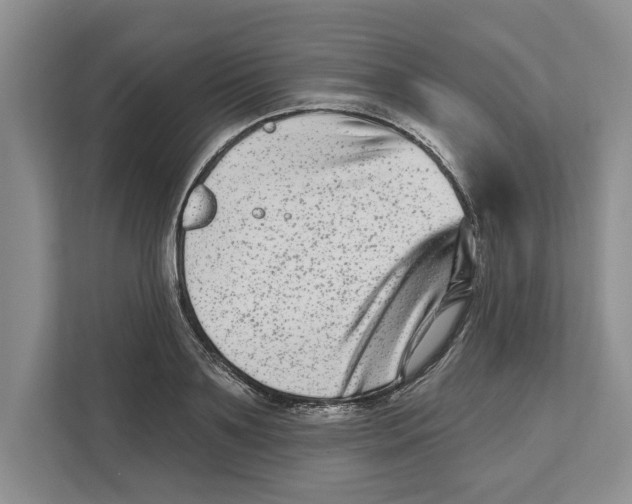 X0000112480891200909141141