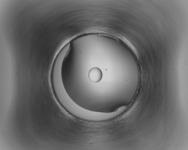 X0000112480901200909141141