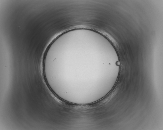 X0000112480902200909141141