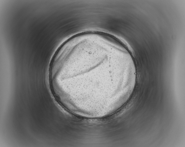 X0000112480903200909141141