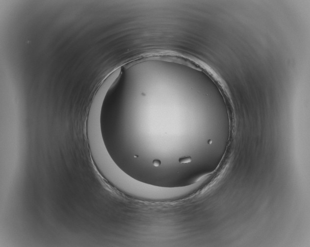 X0000112480905200909141141