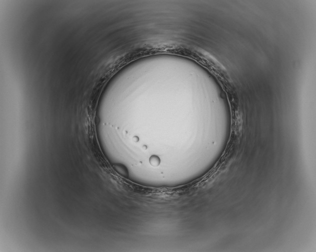 X0000112480917200909141140