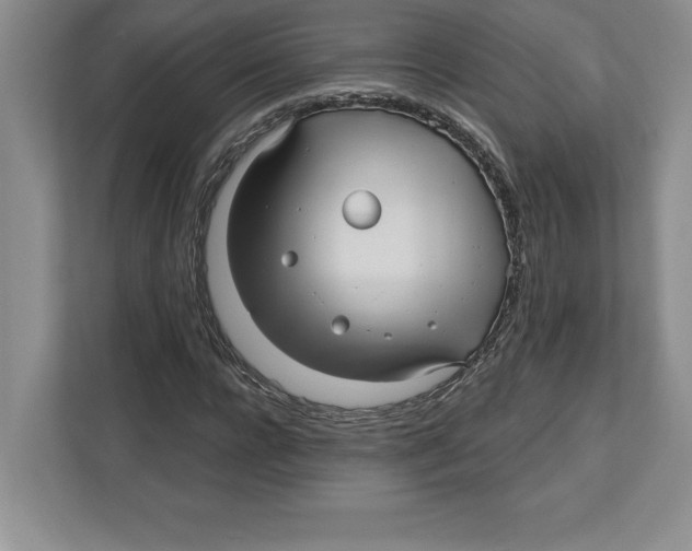 X0000112480920200909141140