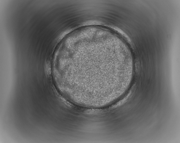 X0000112480929200909141140