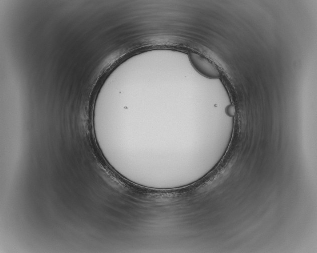 X0000112480930200909141140