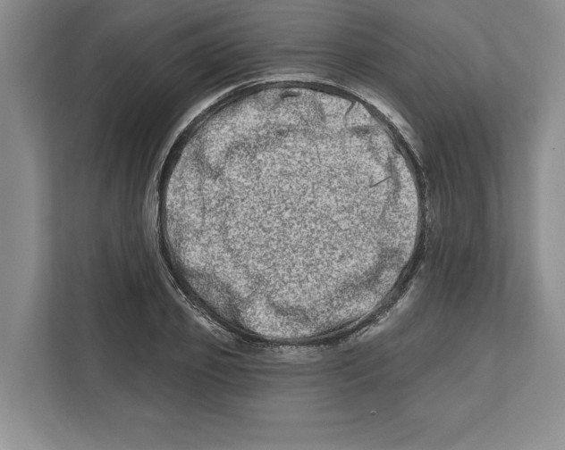 X0000112480933200909141140