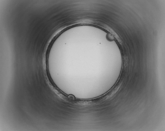 X0000112480939200909141141