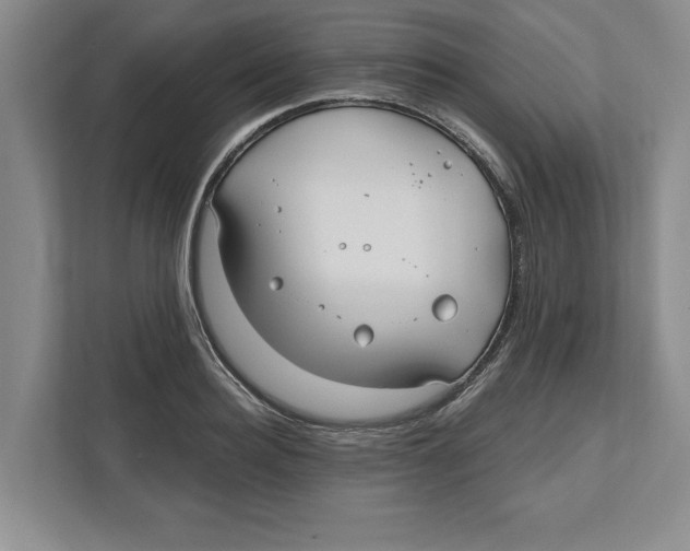 X0000112480940200909141141