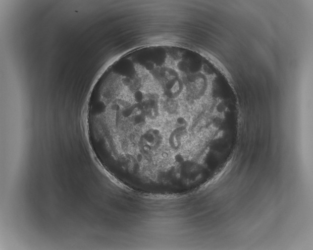 X0000112480941200909141141