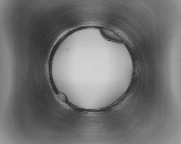 X0000112480942200909141141