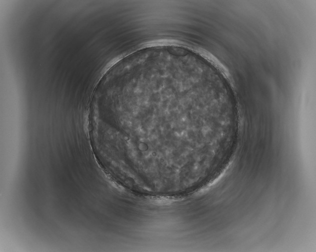 X0000112480945200909141141