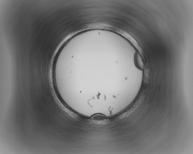 X0000112480947200909141141