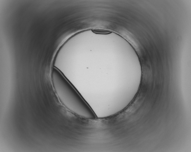 X0000112480956200909141141