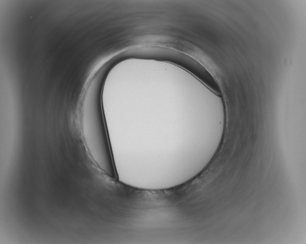 X0000112480960200909141141