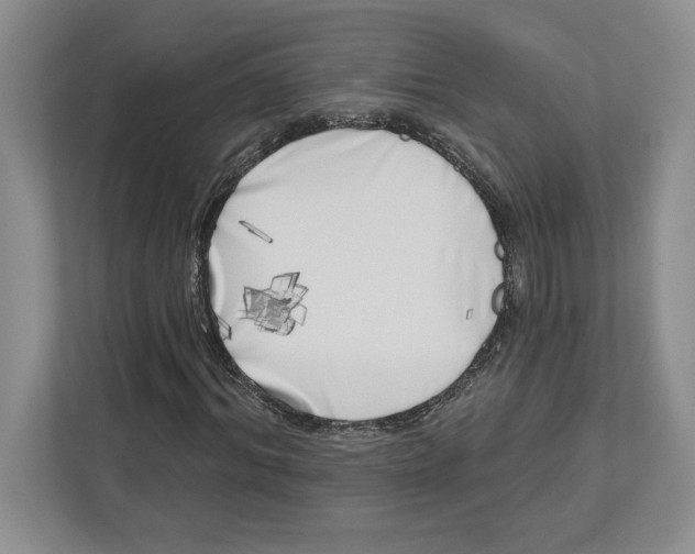X0000112480964200909141140