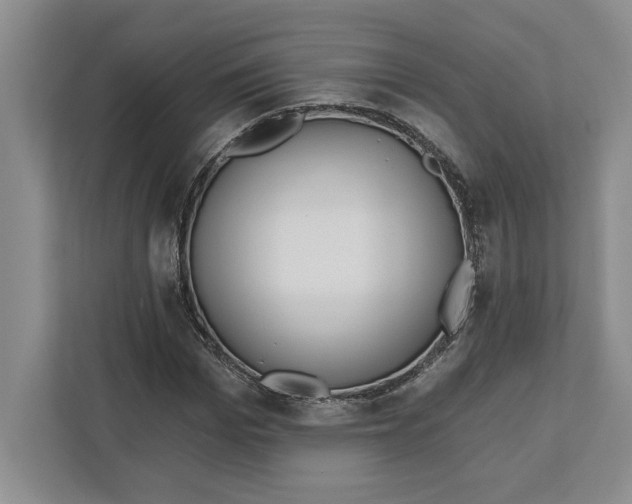 X0000112480969200909141140