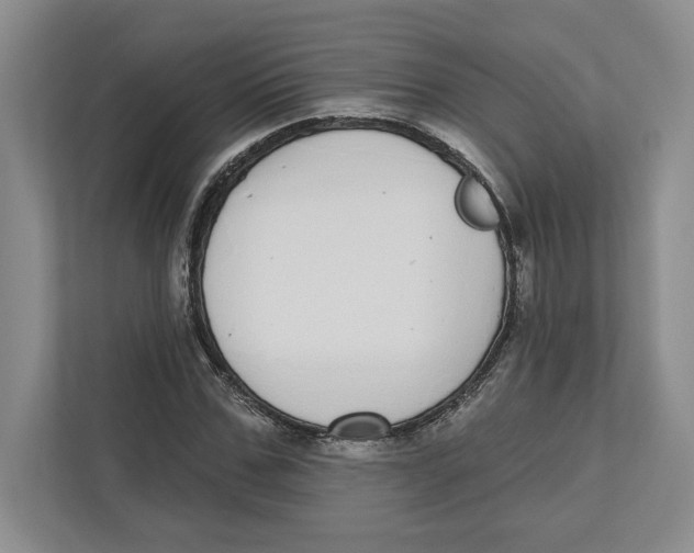 X0000112480971200909141140