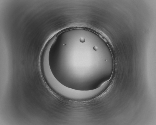 X0000112480981200909141140