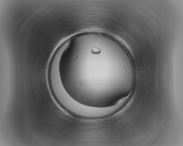 X0000112480989200909141140