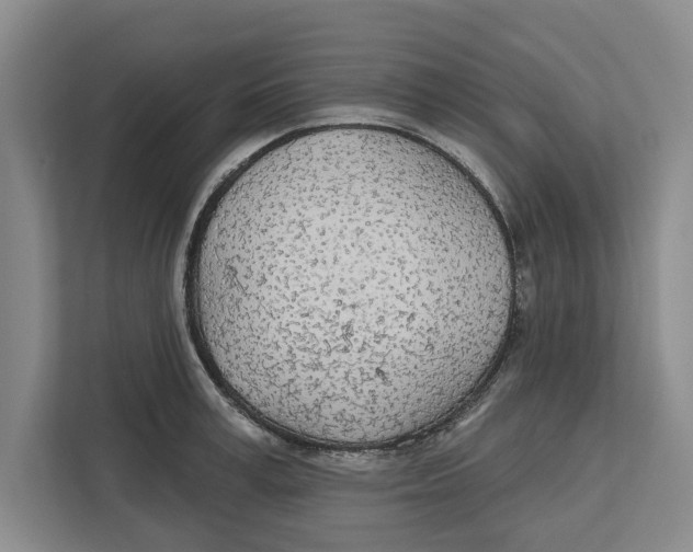 X0000112480995200909141140