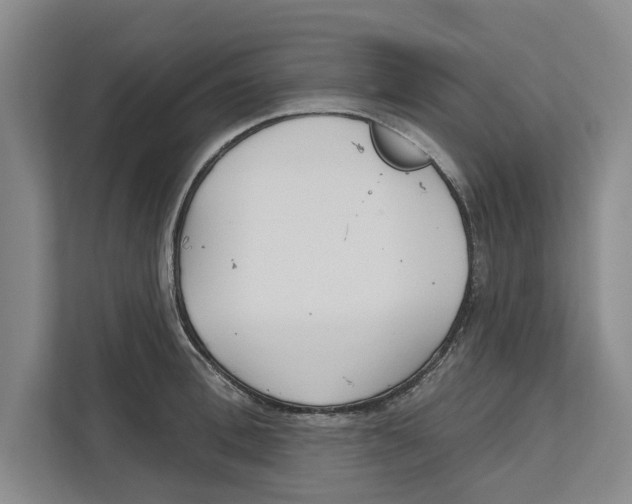 X0000112480996200909141140