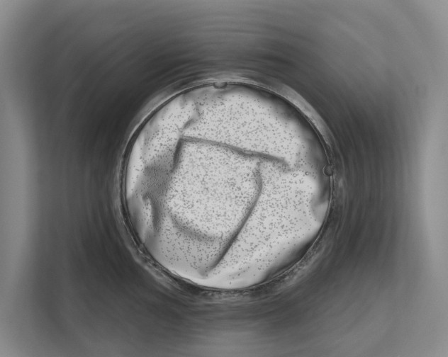 X0000112481002200909141140