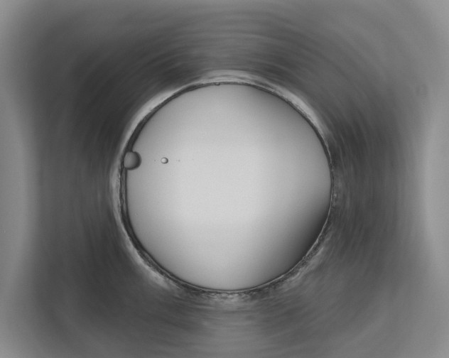 X0000112481003200909141140