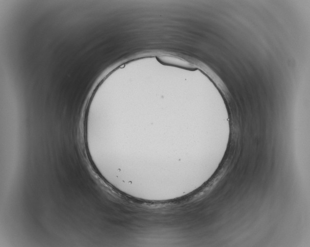 X0000112481004200909141140