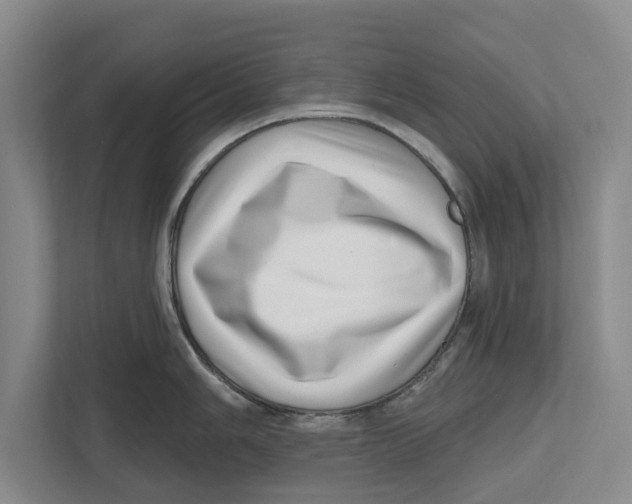 X0000112481006200909141140