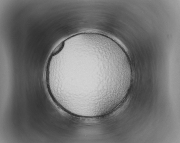 X0000112481007200909141140