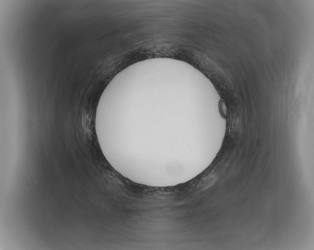 X0000112481010200909141139