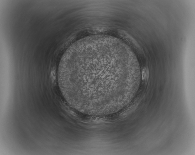 X0000112481011200909141139