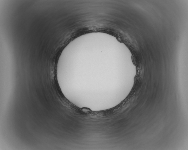 X0000112481012200909141139