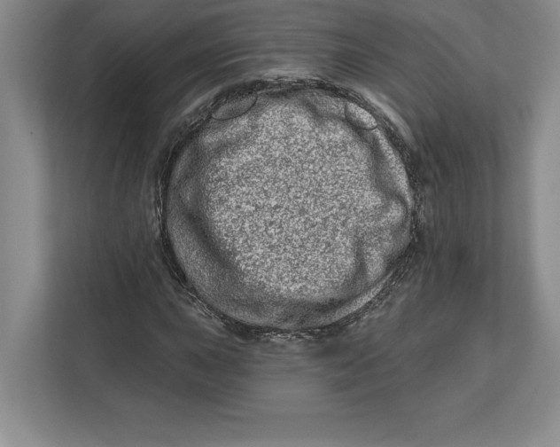 X0000112481015200909141139