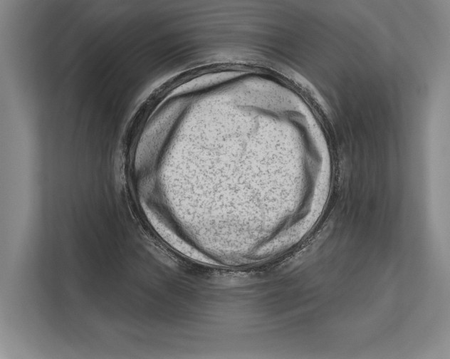 X0000112481019200909141139