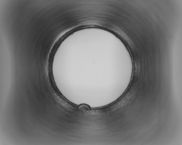 X0000112481020200909141139