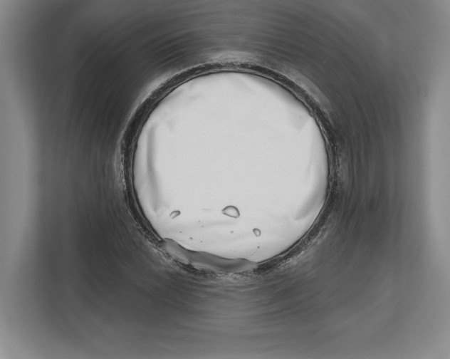 X0000112481022200909141139