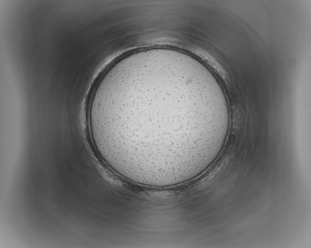 X0000112481031200909141139