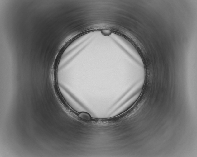 X0000112481034200909141139