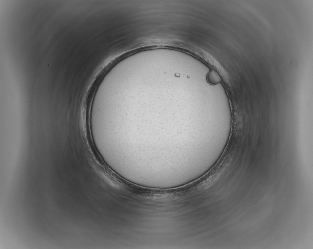 X0000112481035200909141139