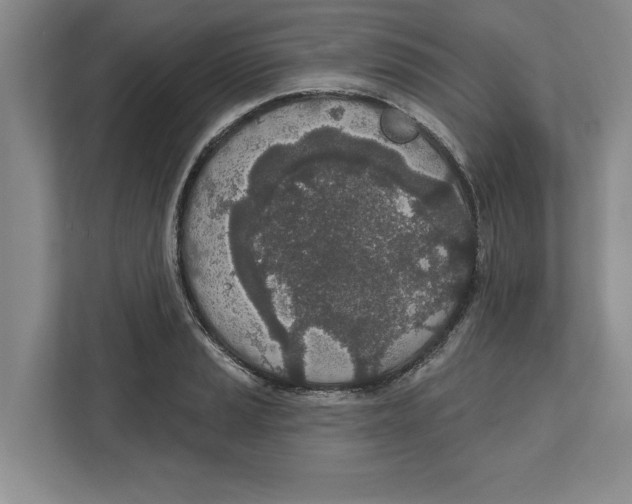 X0000112481037200909141139