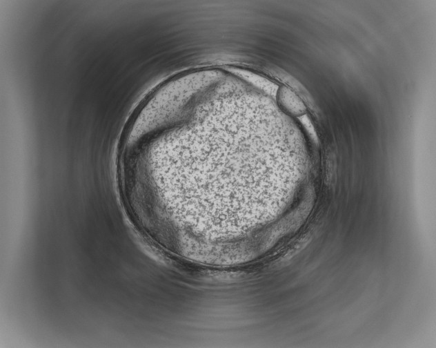 X0000112481039200909141139