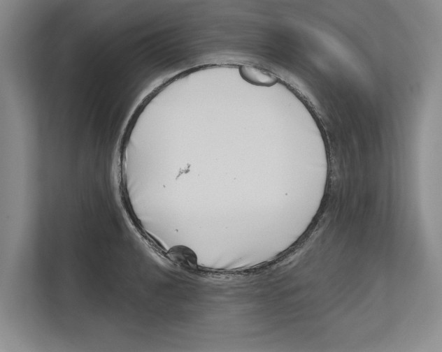 X0000112481040200909141139