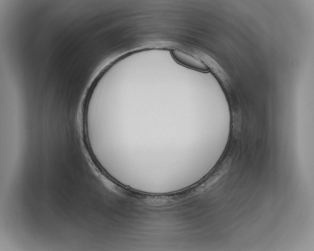 X0000112481046200909141139