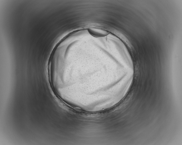 X0000112481047200909141139