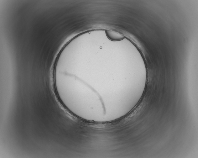 X0000112481048200909141139