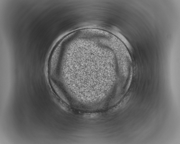 X0000112481051200909141140