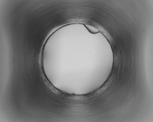 X0000112481052200909141140