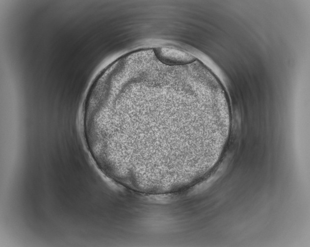 X0000112481053200909141140