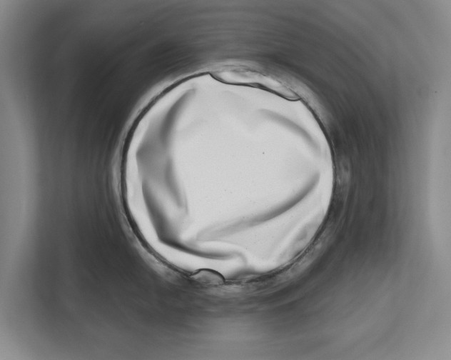 X0000112481054200909141140